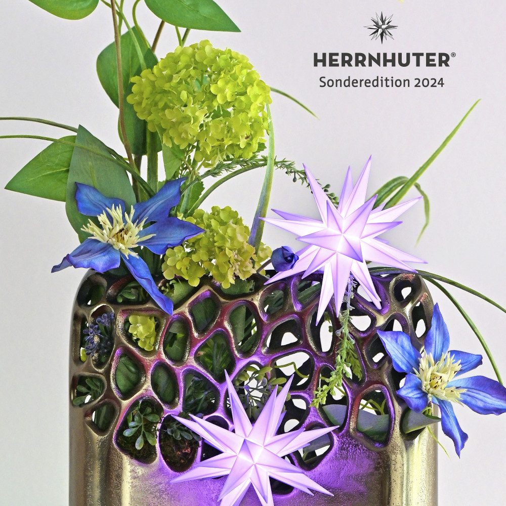 Herrnhuter Stern Kunststoff 13cm Flieder | Sonderedition 2024, inkl. Netzadapter – Bild 2