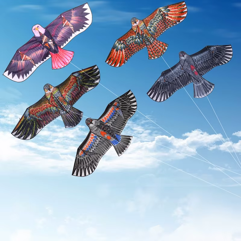 3D 1,1 m Drache – Adler Großer Vogel Kite Outdoor Spielzeug für Kinder – Bild 6